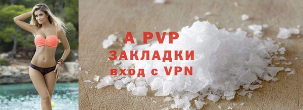 ПСИЛОЦИБИНОВЫЕ ГРИБЫ Шали