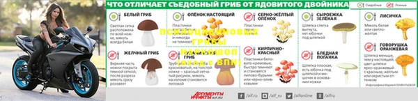 скорость Чекалин