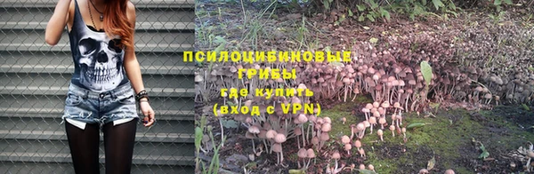 соль курить ск Чердынь