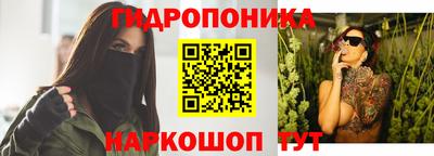 индика Абакан