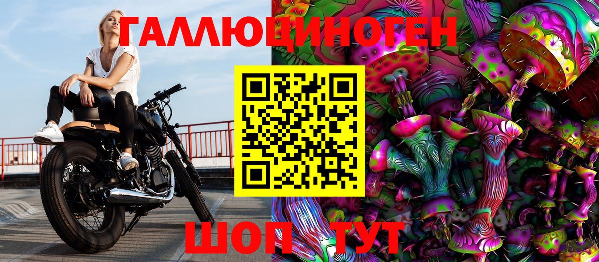 Галлюциногенные грибы мицелий Александров