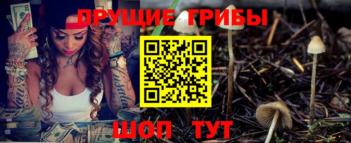 Псилоцибиновые грибы ЛСД  наркотики  Александров  Псилоцибиновые грибы Magic Shrooms 