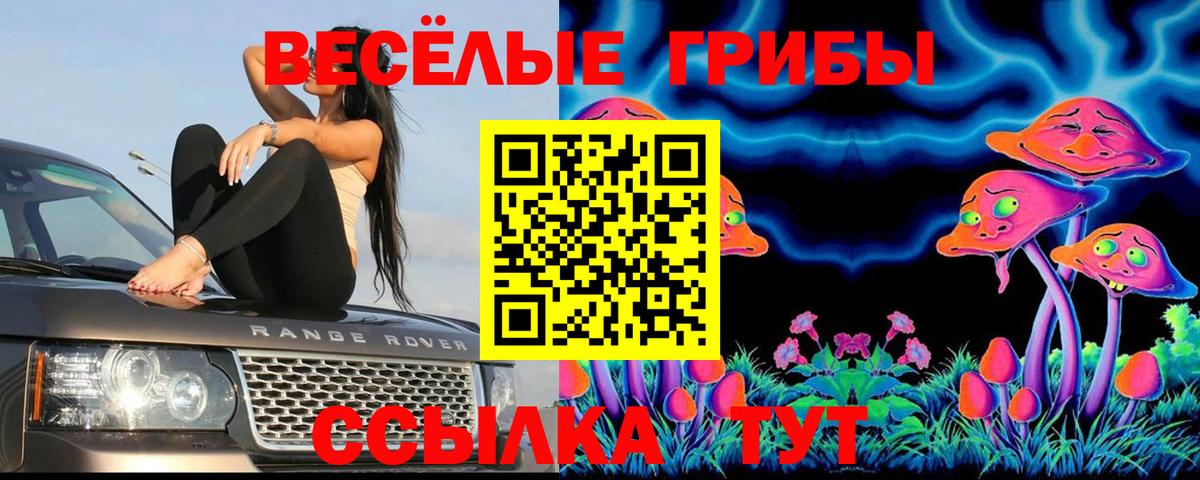 Псилоцибиновые грибы мицелий Александров