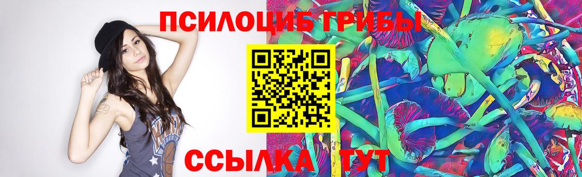 Галлюциногенные грибы Magic Shrooms Александров