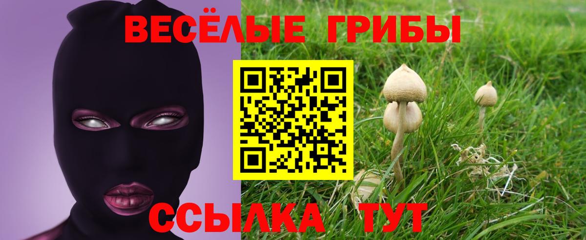 Ляпка  Метамфетамин  Вход с VPN  Александров  Меф  Бошки Шишки  MDMA  МЕФ  A PVP  КОКАИН 