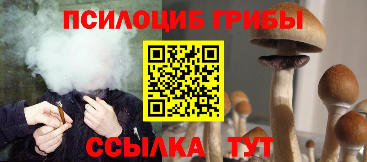 Псилоцибиновые грибы Psilocybe  Вход с VPN  Александров 