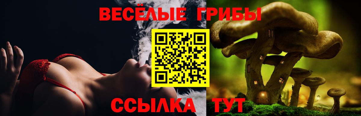 Псилоцибиновые грибы Cubensis  Галлюциногенные грибы Psilocybine cubensis  Александров  Вход с VPN 