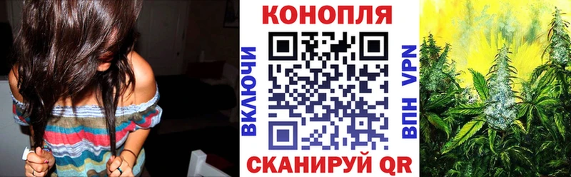 Каннабис гибрид  Александров 